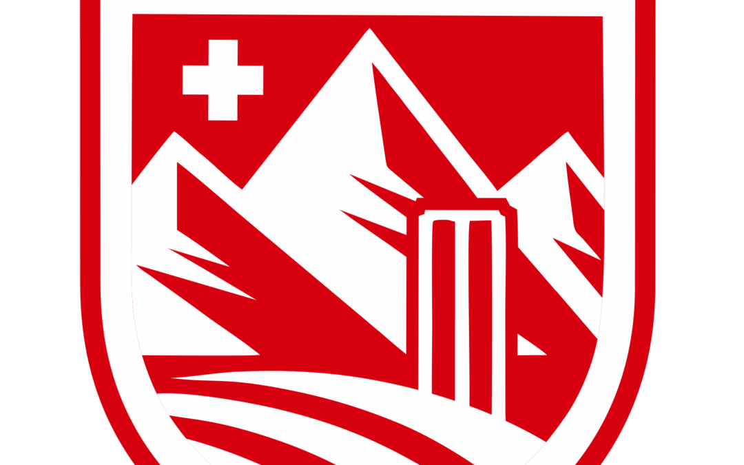 Cricket Switzerland Council Meeting 2021