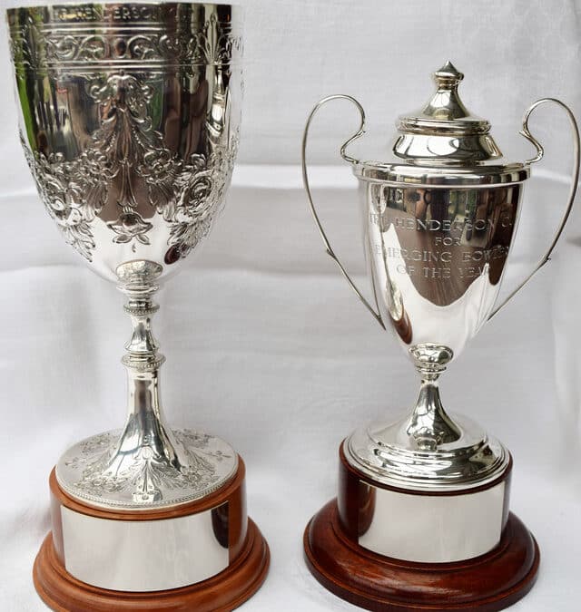 Emerging Player of the Year Trophies