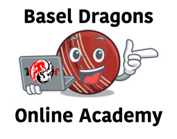 Session Nine: Basel Dragons Online Academy